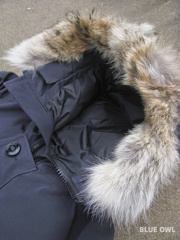 canada goose fur on hood canada goose fur on hood